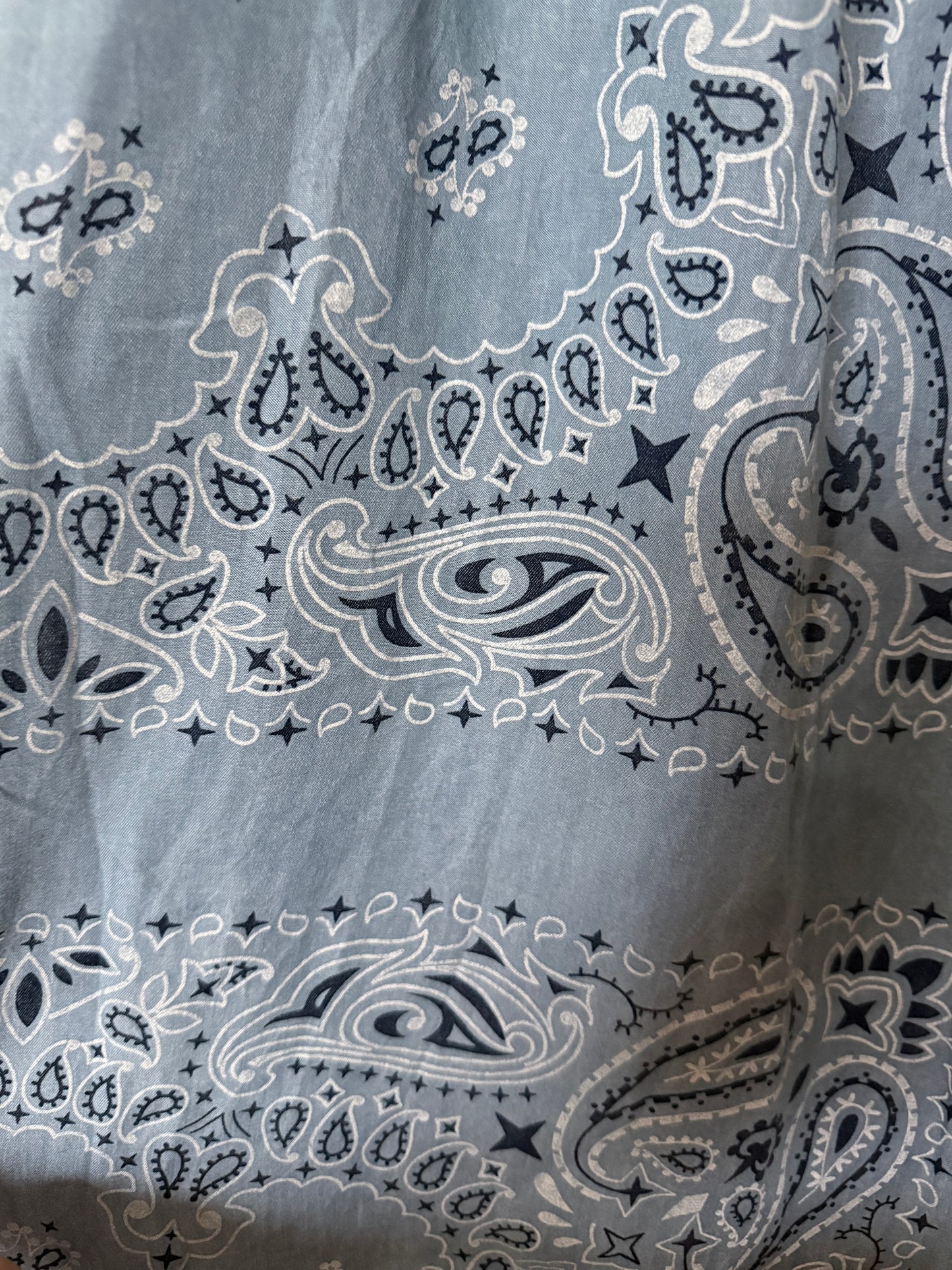 Italian Tencel Paisley Wide Leg Pants