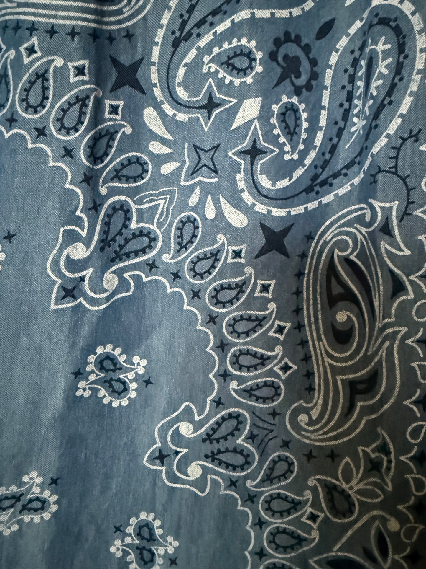 Italian Tencel Paisley Wide Leg Pants