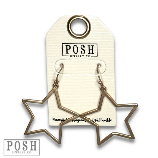 Matte finish open star earring - LC