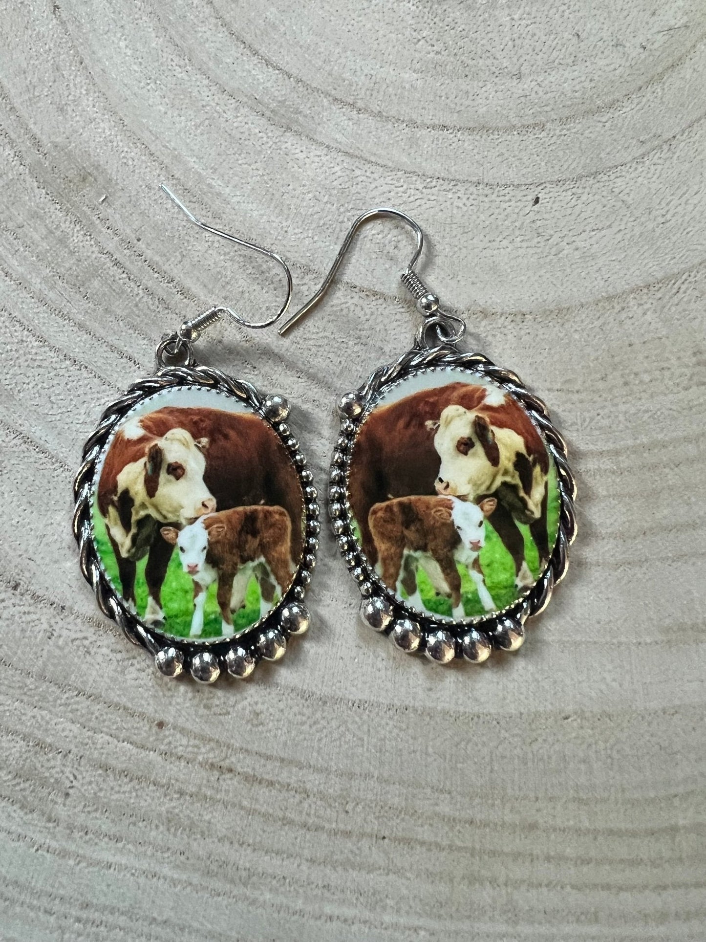Western Framed Cow Calf Fashion Earrings — Ranch Life Statement (1½" x 1")